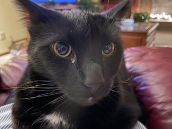 Wayne (Dr. Bill Burke) Wayne (Dr. Bill Burke)